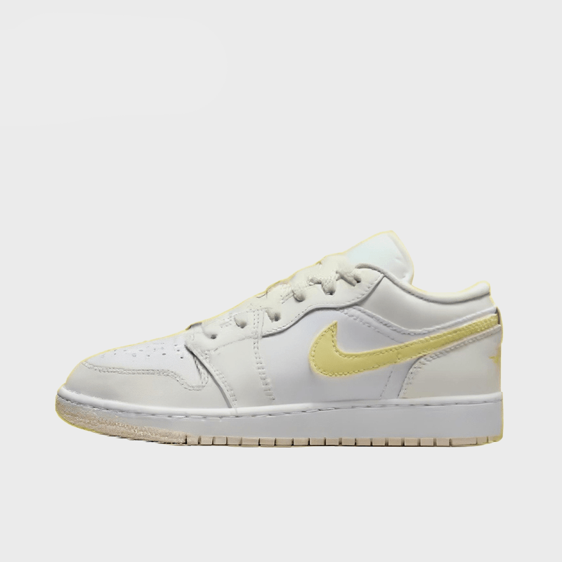 Winter’s Chill -Jordan 1 Low Custom Unisex