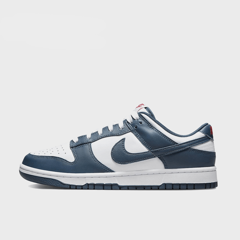 Lake for Fish - Men's Dunk Low Custom