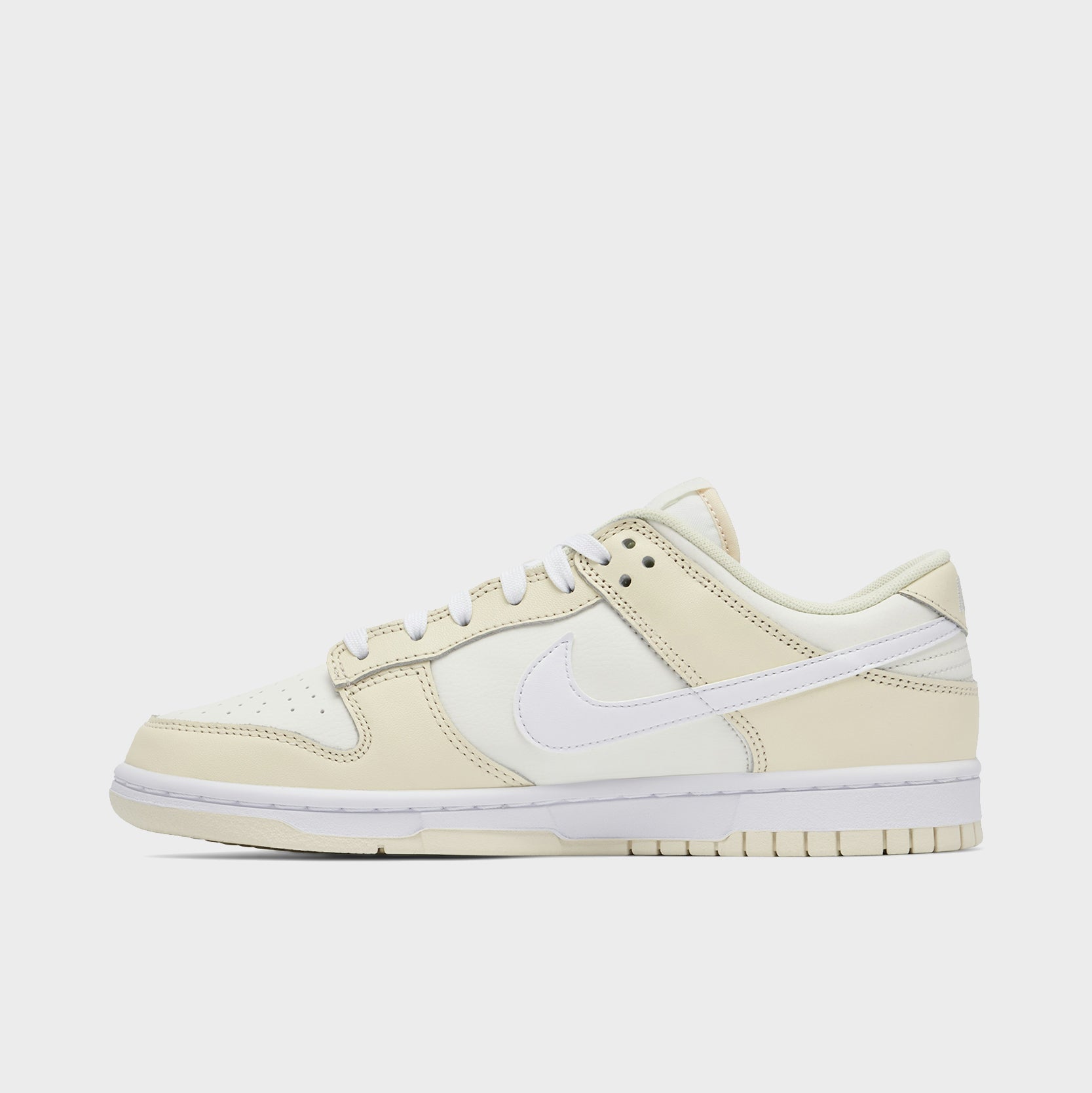 Hazardous Planet - Men's Dunk Low Custom