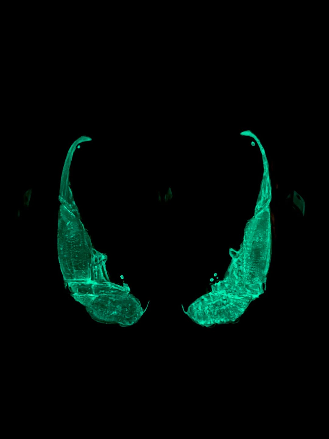 [Custom Venom - Patent Leather] Air Force 1 Low - Top Unisex Skateboarding Shoes Black